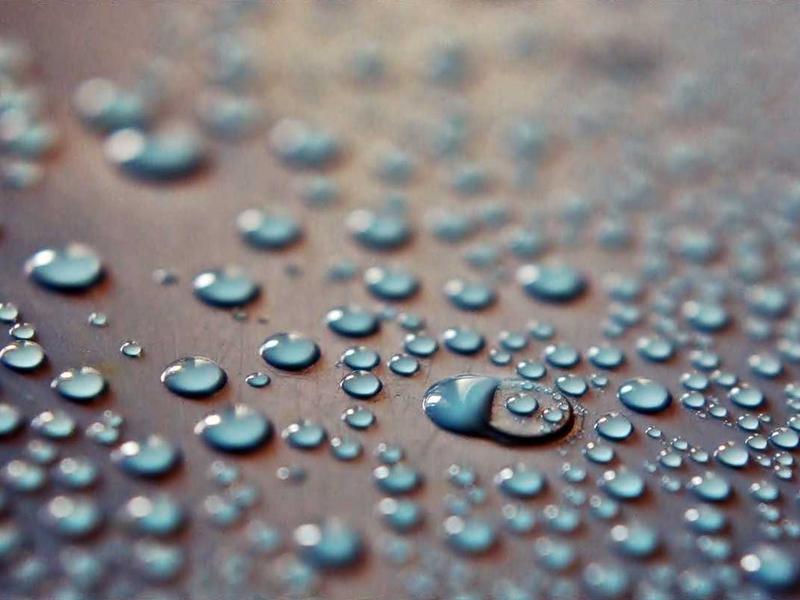 牧羊少年奇幻之旅<br>hzldzsi.cn 天命与金字塔